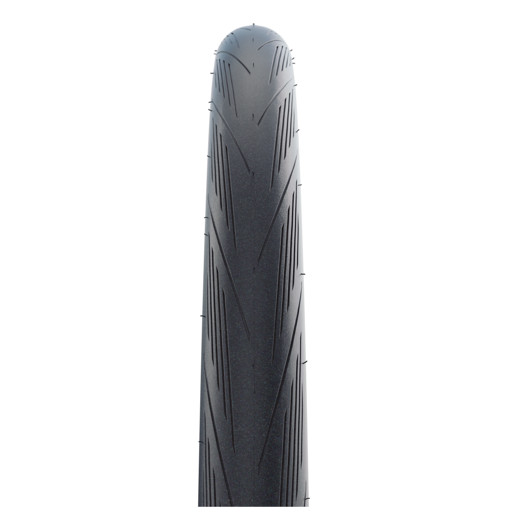 schwalbe lugano II -1.png