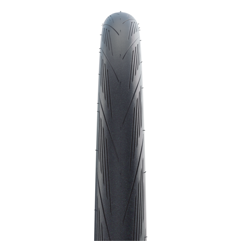 schwalbe lugano II -1.png