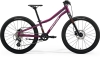 Merida Matts J.24+ Silk Purple