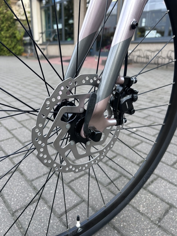 Velmar - Merida Speeder 100 City Rose 2025_4.JPEG