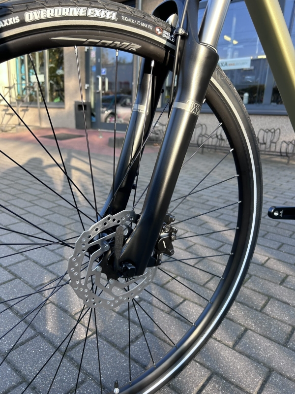 Velmar - Merida Crossway 300 Lady Silk Champagne 2025_9.JPEG