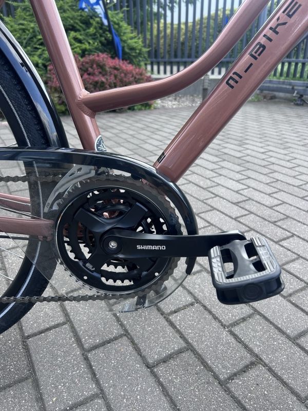 Velmar - M-BIKE Frewway 9200 lady copper_5.JPEG