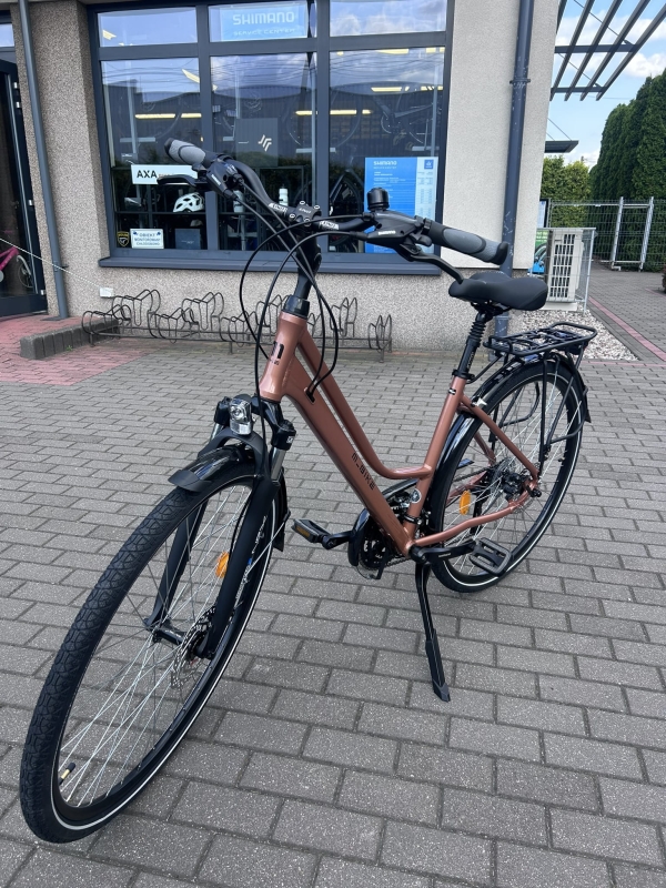Velmar - M-BIKE Frewway 9200 lady copper_9.JPEG