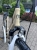 Velmar - M-BIKE Frewway 9200 lady champagne_6.JPEG
