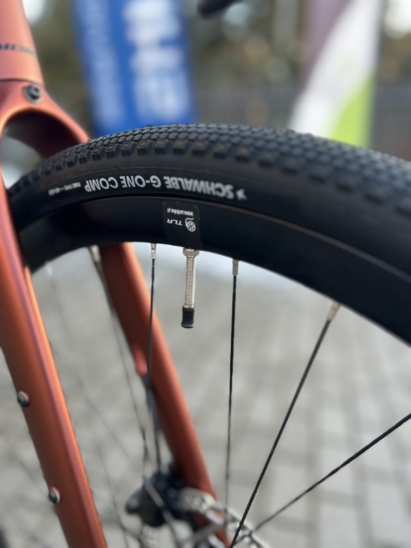 Velmar - Unibike Tier Brandy_7.JPEG