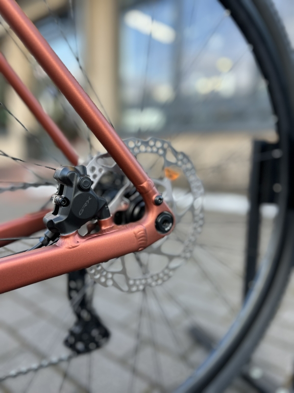 Velmar - Unibike Tier Brandy_9.JPEG