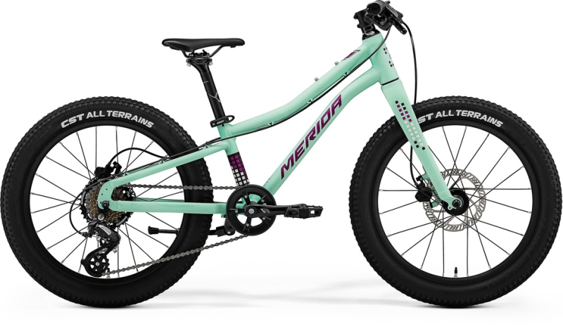 Merida Matts J.20+ Matt Mint