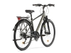 Rower M-Bike Freeway 9300 Man Grafit