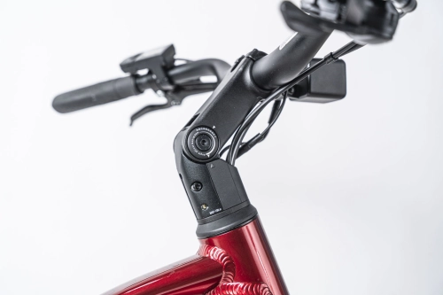 Rower Neon Summit RHM 1.0 Men Red Moon