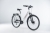 Rower elektryczny Neon Lumen White Pearl