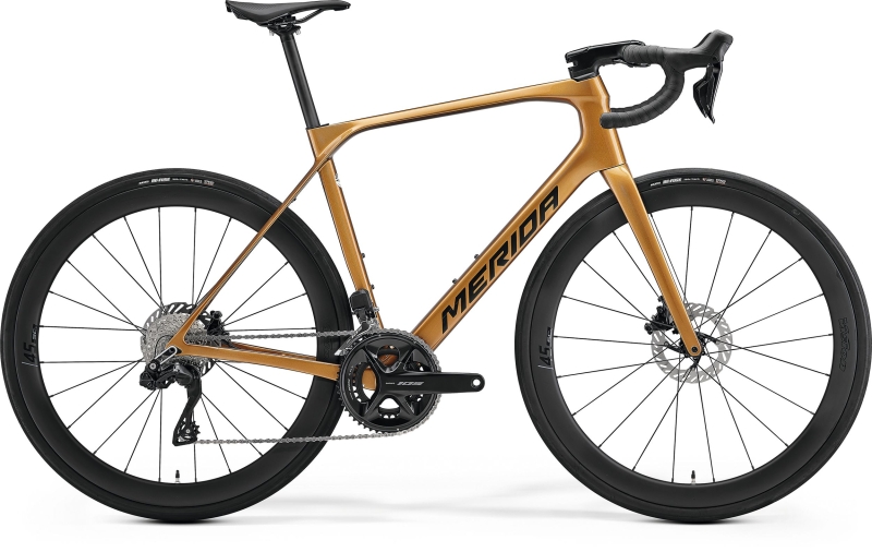 MERIDA SCULTURA ENDURANCE 6000 MINERAL GOLD 2027