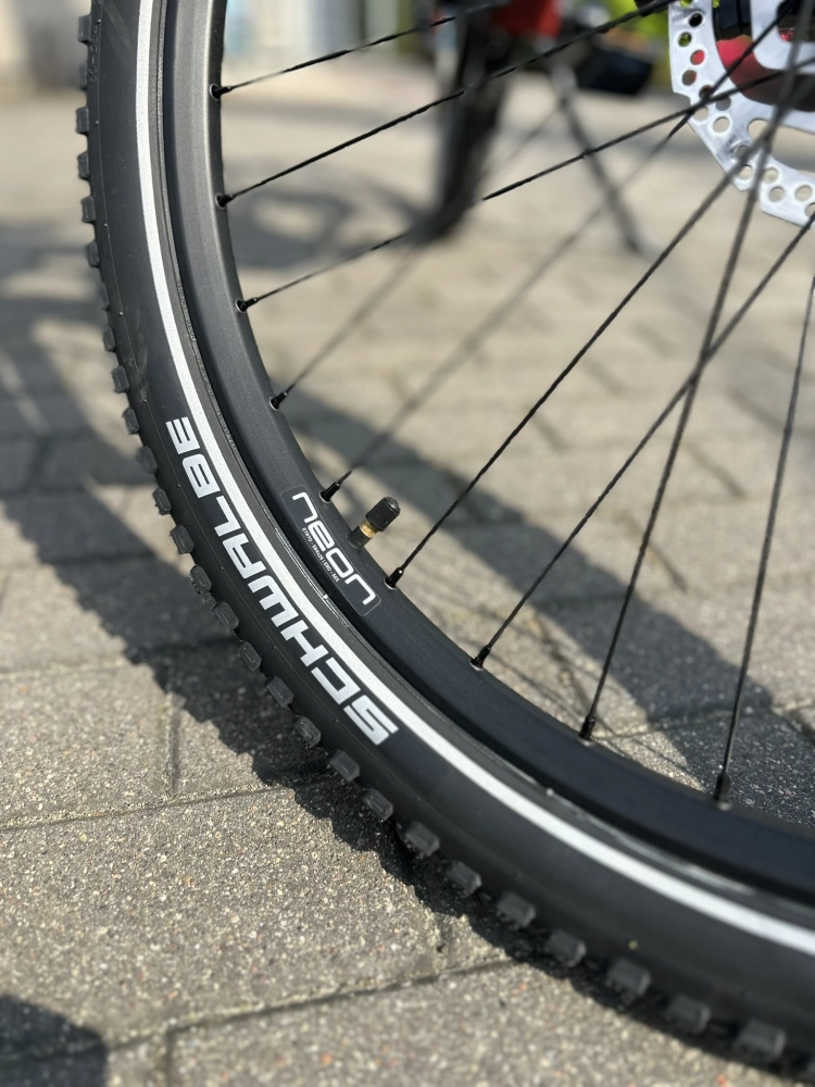 rower-elektryczny-neon-summit-rhm-2-0-steptrough-thick-brick-velmar-10-opona-schwalbe-johnny-watts.JPEG